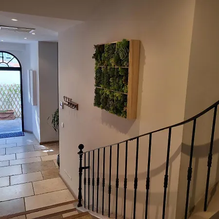 Villa Terra By Festif Azur - House 250m2 Quiet, 5 Min Walk From Palais Des Festivals And Beaches *