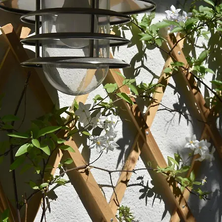 Terra By Festif Azur - House 250m2 Quiet, 5 Min Walk From Palais Des Festivals And Beaches