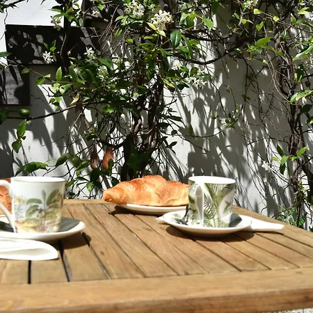 Terra By Festif Azur - House 250m2 Quiet, 5 Min Walk From Palais Des Festivals And Beaches Cannes